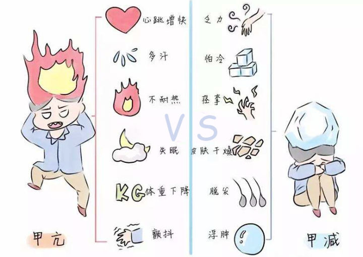 雷竞技(中国)官方网站-登录入口
